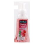Hand Wash Fom Raspbery